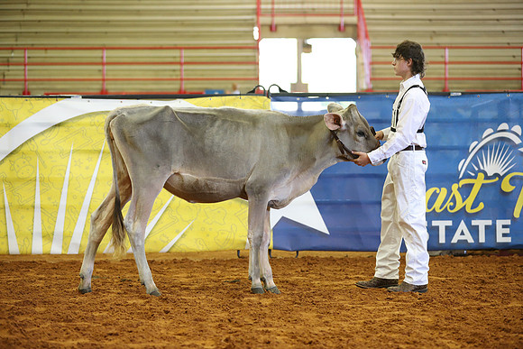 East Texas State Fair - Dairy Show-374