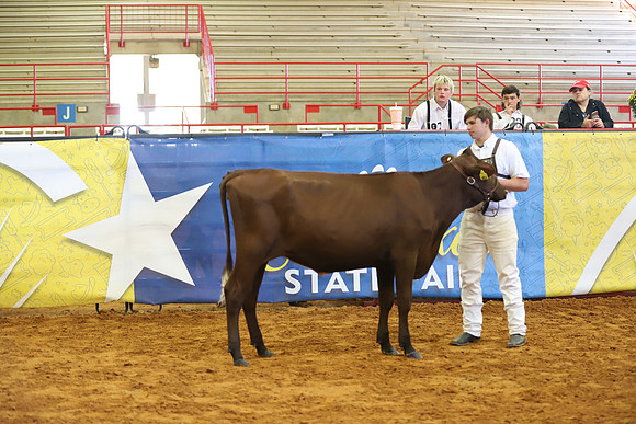 East Texas State Fair - Dairy Show-238