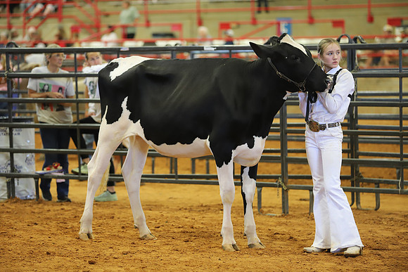 East Texas State Fair - Dairy Show-012