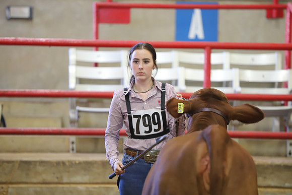 EastTexasStateFair-JBBAHeiferShowmanship-17