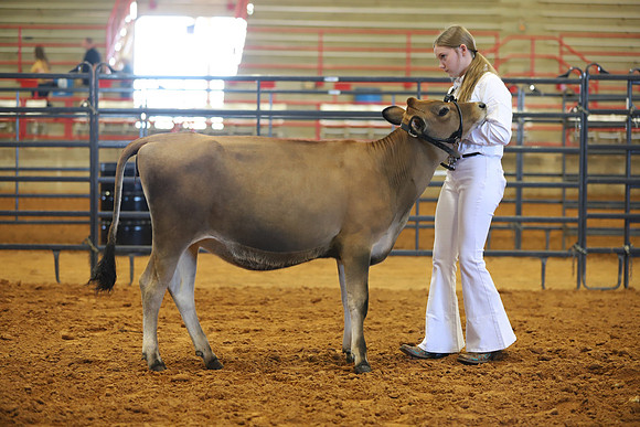 East Texas State Fair - Dairy Show-107